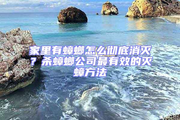 家里有蟑螂怎么徹底消滅?殺蟑螂公司最有效的滅蟑方法