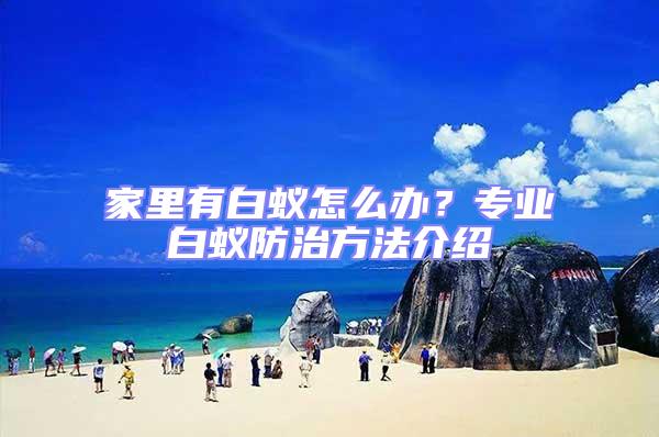 家里有白蟻怎么辦？專業白蟻防治方法介紹