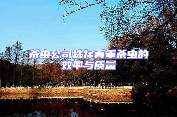 殺蟲(chóng)公司選擇看重殺蟲(chóng)的效率與質(zhì)量