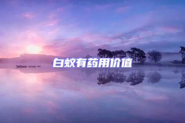 白蟻有藥用價(jià)值