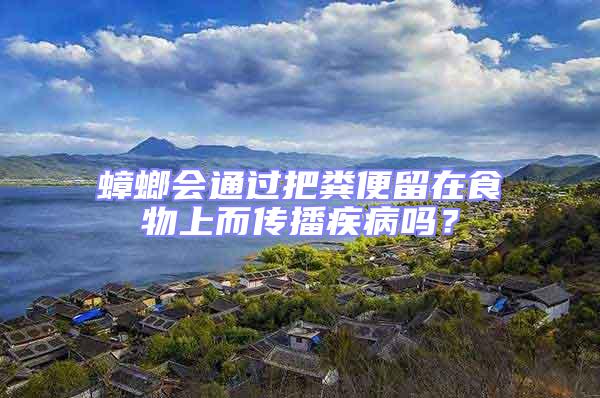 蟑螂會(huì)通過把糞便留在食物上而傳播疾病嗎?