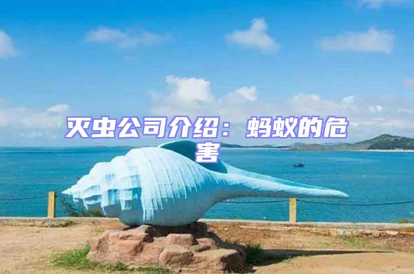 滅蟲公司介紹:螞蟻的危害