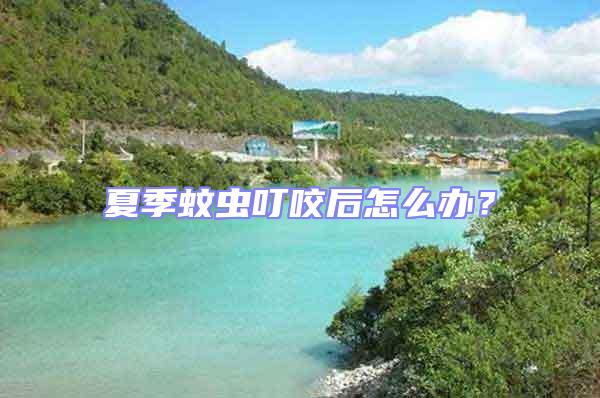 夏季蚊蟲叮咬后怎么辦?