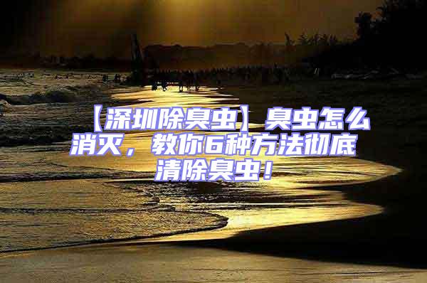 【深圳除臭蟲】臭蟲怎么消滅,教你6種方法徹底清除臭蟲!