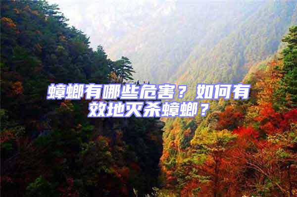 蟑螂有哪些危害？如何有效地滅殺蟑螂？