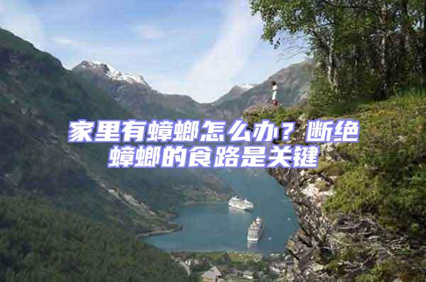 家里有蟑螂怎么辦?斷絕蟑螂的食路是關(guān)鍵