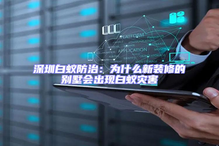 深圳白蟻防治:為什么新裝修的別墅會出現(xiàn)白蟻災(zāi)害