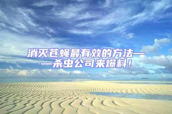 消滅蒼蠅最有效的方法——殺蟲公司來爆料!