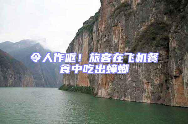 令人作嘔！旅客在飛機餐食中吃出蟑螂