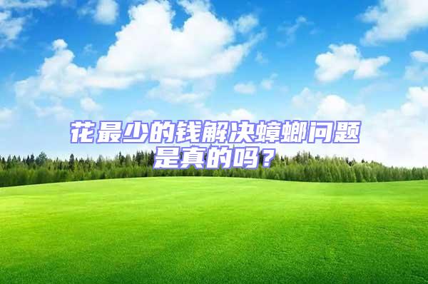 花最少的錢解決蟑螂問題是真的嗎?