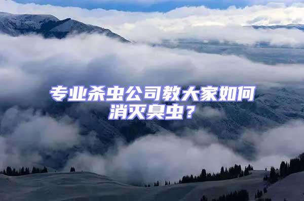 專業(yè)殺蟲公司教大家如何消滅臭蟲?