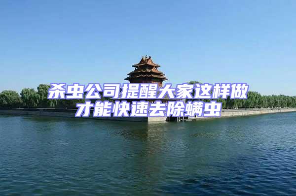 殺蟲(chóng)公司提醒大家這樣做才能快速去除螨蟲(chóng)