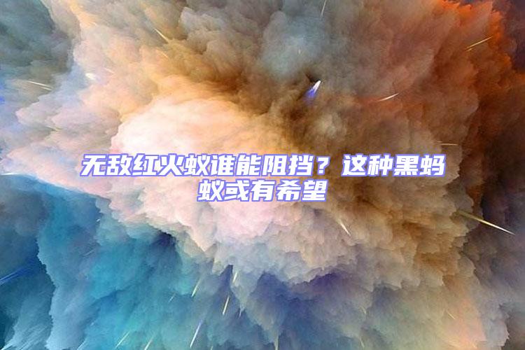 無敵紅火蟻誰能阻擋？這種黑螞蟻或有希望