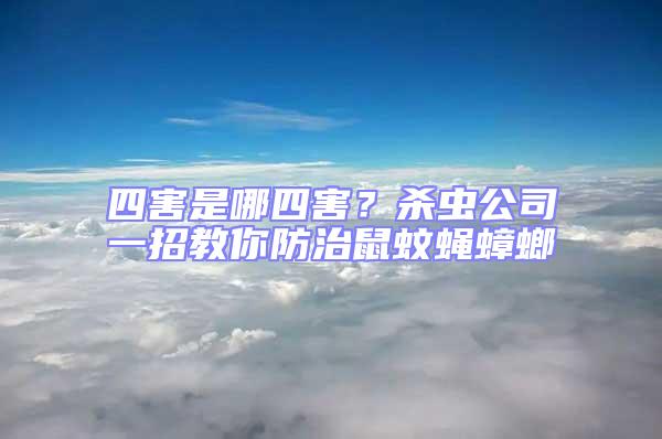 四害是哪四害?殺蟲公司一招教你防治鼠蚊蠅蟑螂