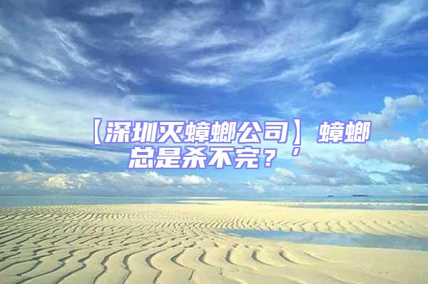 【深圳滅蟑螂公司】蟑螂總是殺不完？’