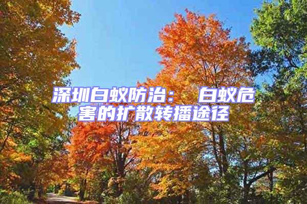 深圳白蟻防治： 白蟻危害的擴散轉(zhuǎn)播途徑