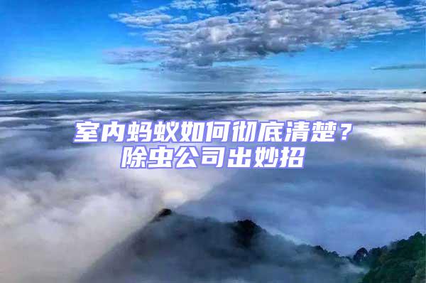 室內(nèi)螞蟻如何徹底清楚?除蟲公司出妙招