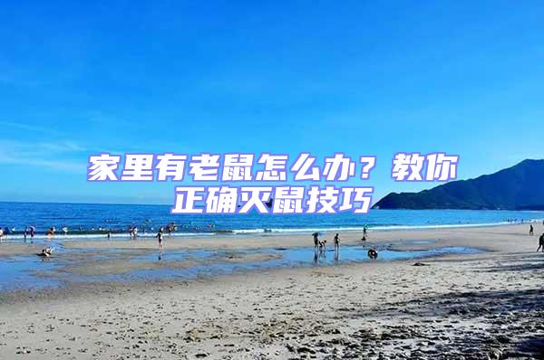 家里有老鼠怎么辦？教你正確滅鼠技巧