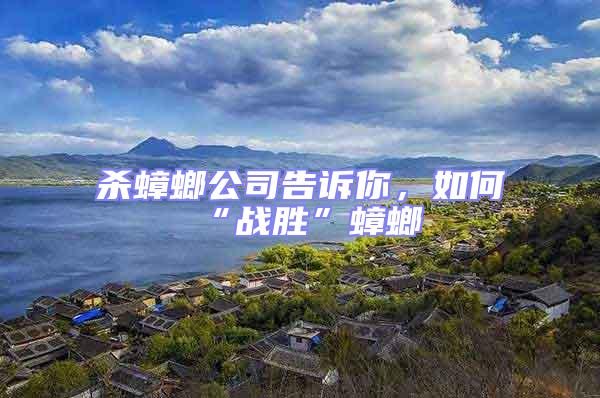 殺蟑螂公司告訴你，如何“戰勝”蟑螂