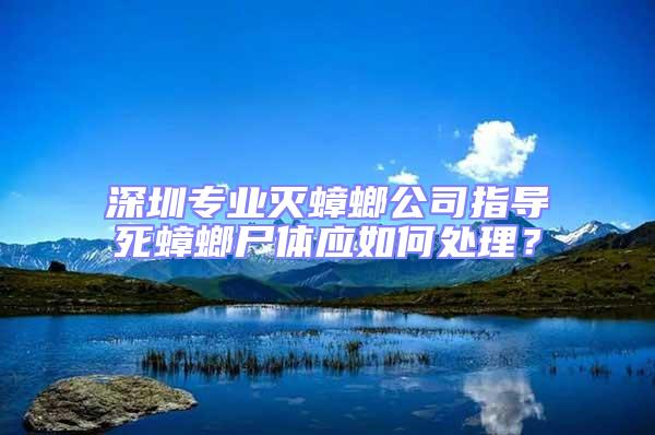 深圳專(zhuān)業(yè)滅蟑螂公司指導(dǎo)死蟑螂尸體應(yīng)如何處理?