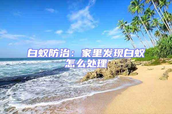 白蟻防治:家里發現白蟻怎么處理