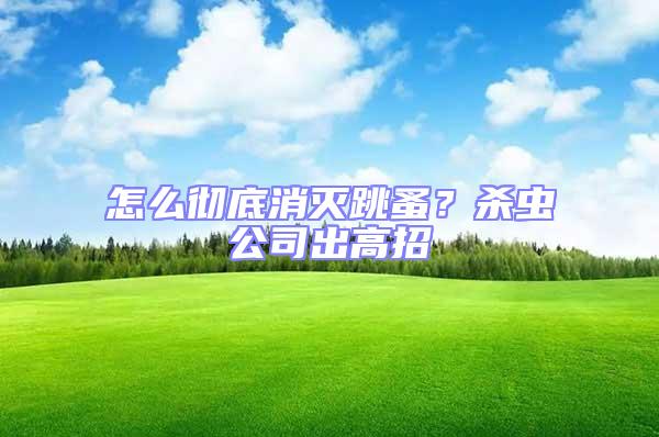 怎么徹底消滅跳蚤?殺蟲(chóng)公司出高招