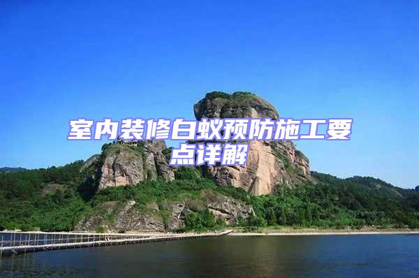 室內(nèi)裝修白蟻預(yù)防施工要點(diǎn)詳解