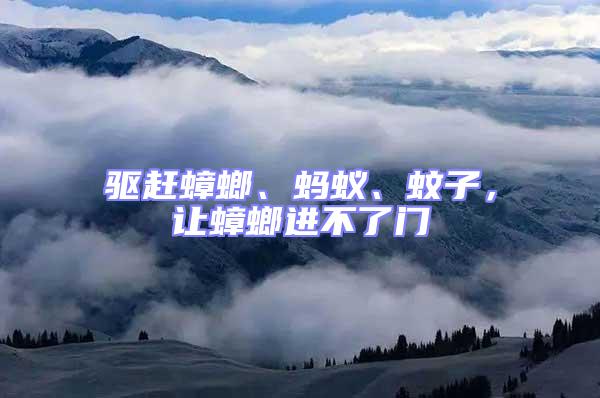 驅(qū)趕蟑螂、螞蟻、蚊子,讓蟑螂進不了門