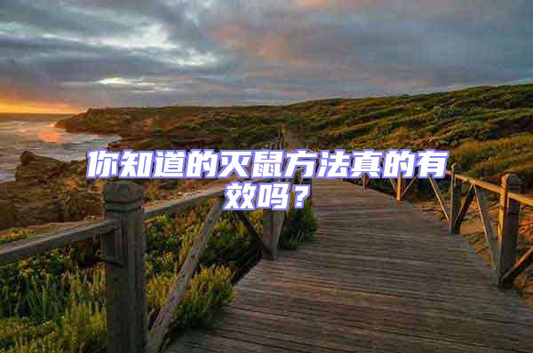 你知道的滅鼠方法真的有效嗎?