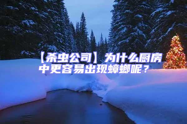【殺蟲公司】為什么廚房中更容易出現蟑螂呢?
