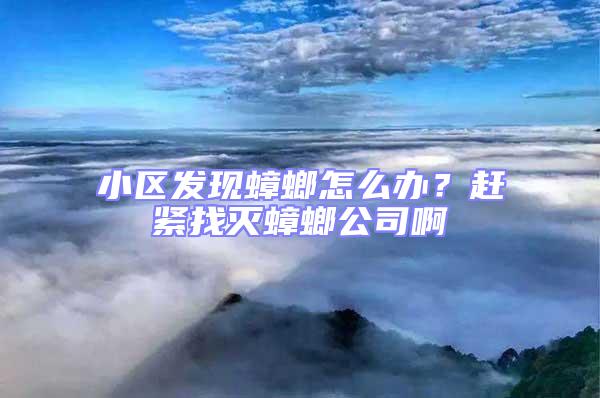 小區(qū)發(fā)現(xiàn)蟑螂怎么辦？趕緊找滅蟑螂公司啊