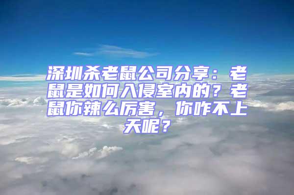 深圳殺老鼠公司分享:老鼠是如何入侵室內(nèi)的?老鼠你辣么厲害,你咋不上天呢?
