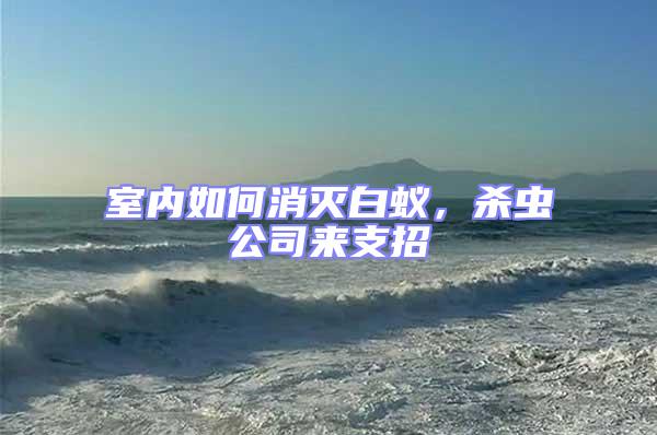 室內(nèi)如何消滅白蟻，殺蟲(chóng)公司來(lái)支招