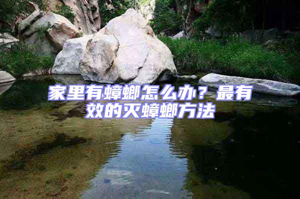 家里有蟑螂怎么辦？最有效的滅蟑螂方法