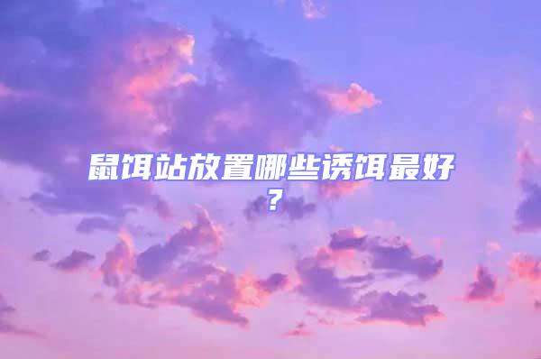鼠餌站放置哪些誘餌最好?