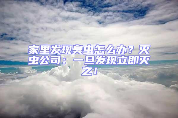 家里發(fā)現(xiàn)臭蟲怎么辦？滅蟲公司：一旦發(fā)現(xiàn)立即滅之！