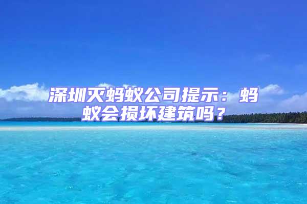 深圳滅螞蟻公司提示：螞蟻會損壞建筑嗎？