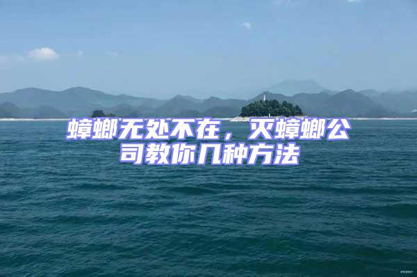 蟑螂無處不在,滅蟑螂公司教你幾種方法
