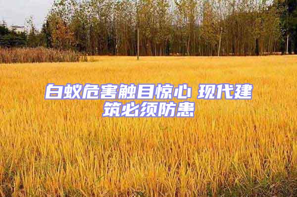 白蟻危害觸目驚心 現代建筑必須防患