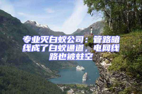 專業滅白蟻公司:管路暗線成了白蟻通道,電網線路也被蛀空