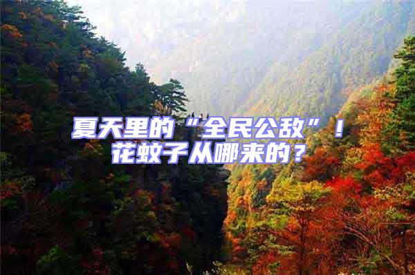 夏天里的“全民公敵”!花蚊子從哪來的?