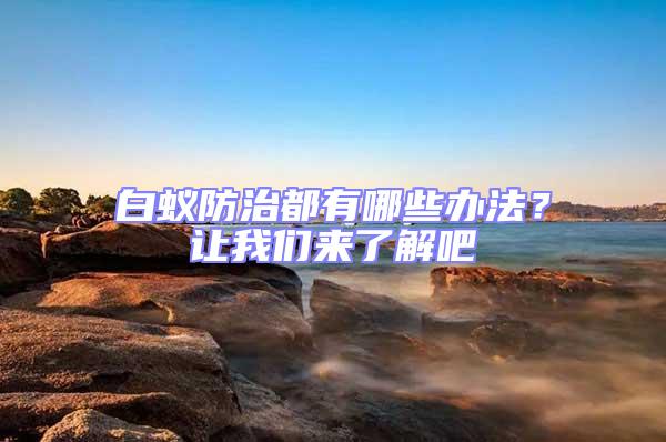 白蟻防治都有哪些辦法？讓我們來了解吧