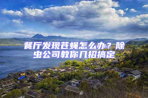 餐廳發現蒼蠅怎么辦?除蟲公司教你幾招搞定