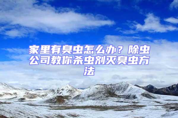 家里有臭蟲怎么辦？除蟲公司教你殺蟲劑滅臭蟲方法