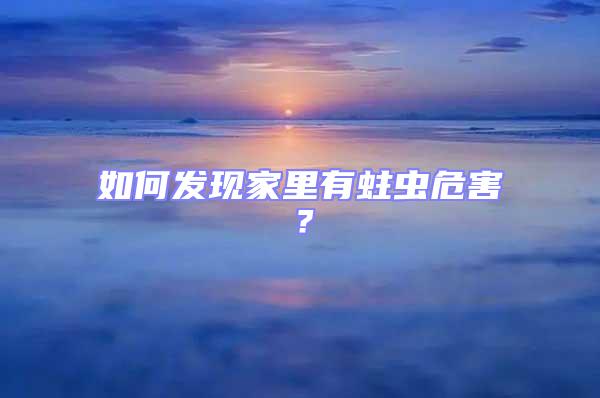 如何發現家里有蛀蟲危害?
