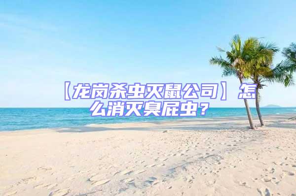 【龍崗殺蟲滅鼠公司】怎么消滅臭屁蟲?