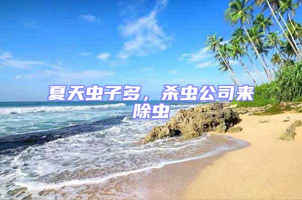 夏天蟲子多，殺蟲公司來除蟲