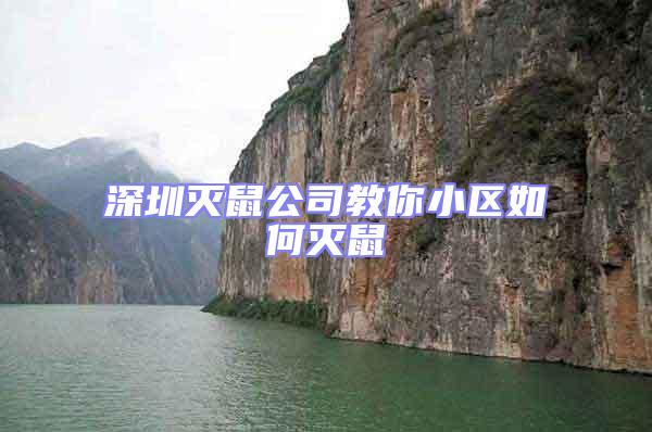 深圳滅鼠公司教你小區(qū)如何滅鼠