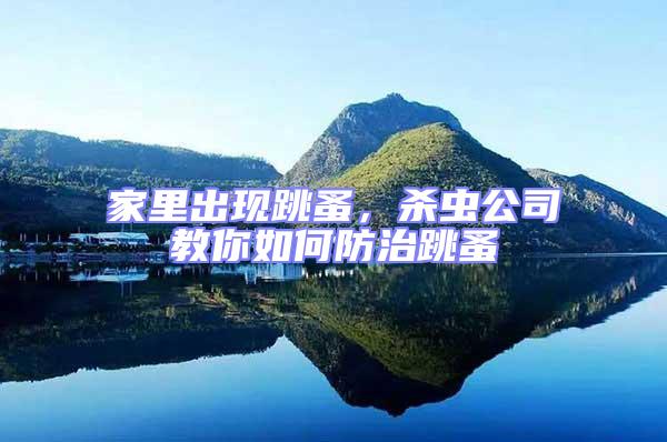 家里出現跳蚤,殺蟲公司教你如何防治跳蚤