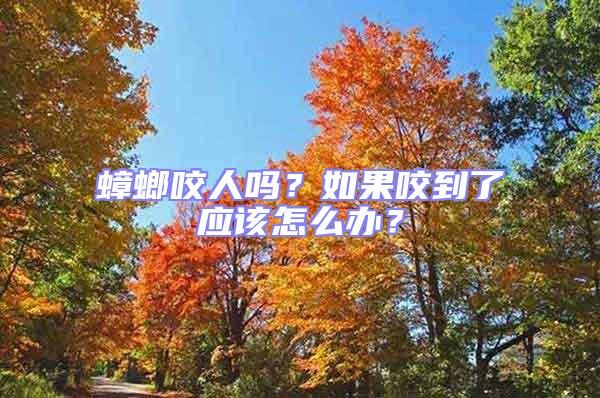 蟑螂咬人嗎?如果咬到了應該怎么辦?